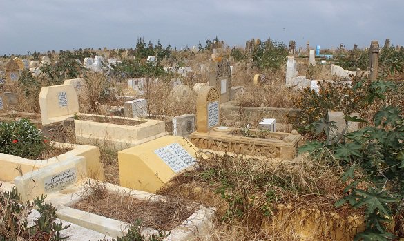 إنزكان.. منظمة حقوقية تطالب بإيجاد حل لغياب مقابر لدفن الأموات إنزكان.. منظمة حقوقية تطالب بإيجاد حل لغياب مقابر لدفن الأموات