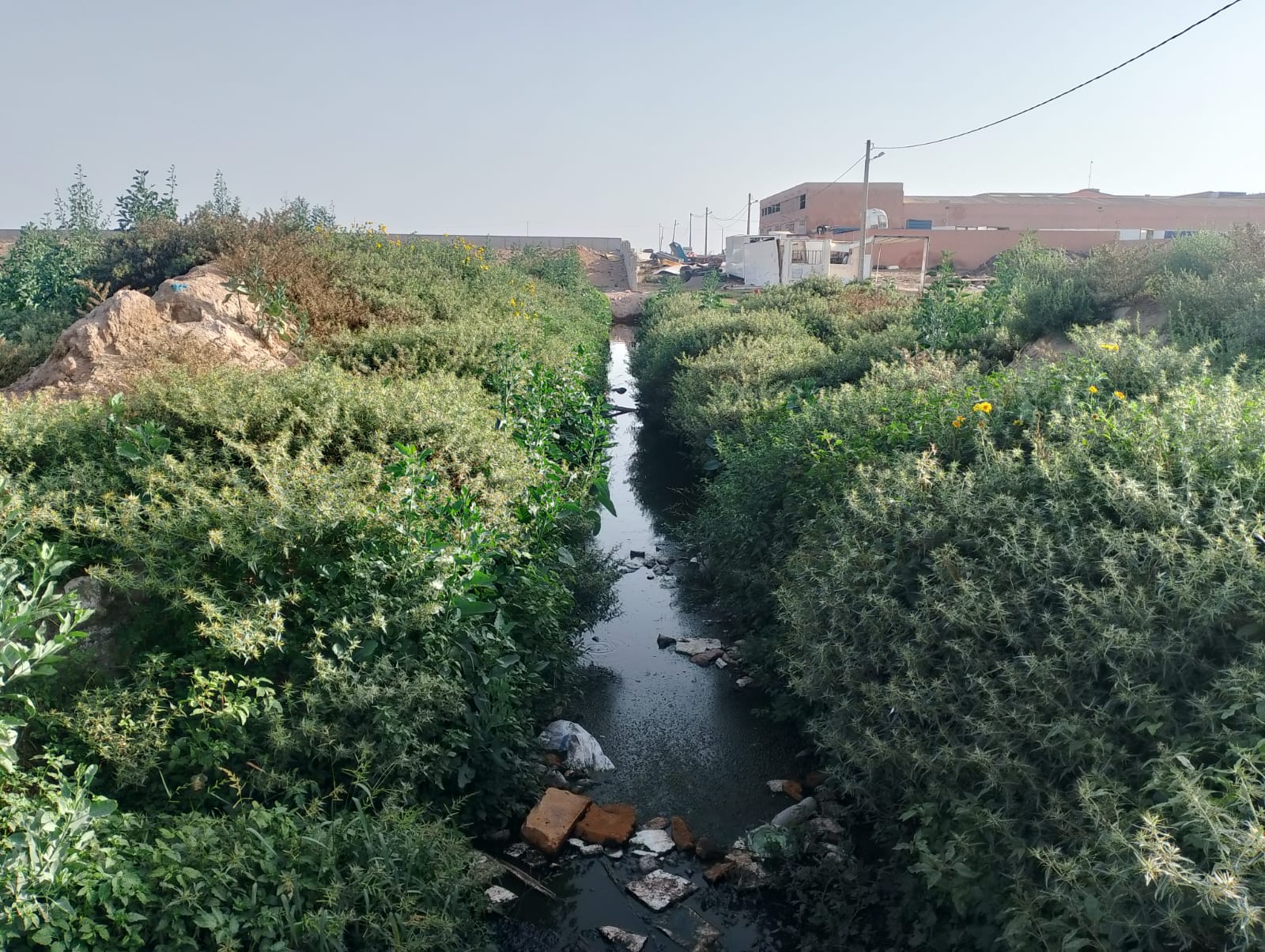 IMG 20250702 WA0180